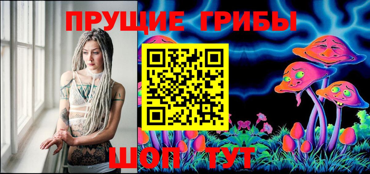 Нальчик  Псилоцибиновые грибы Psilocybine cubensis  где продают наркотики  Вход с VPN 
