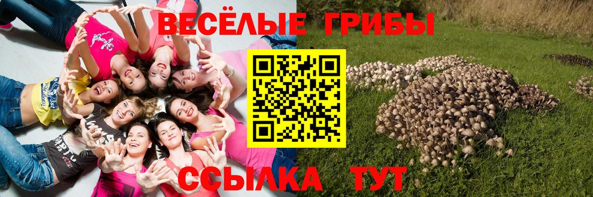 Галлюциногенные грибы прущие грибы Нальчик